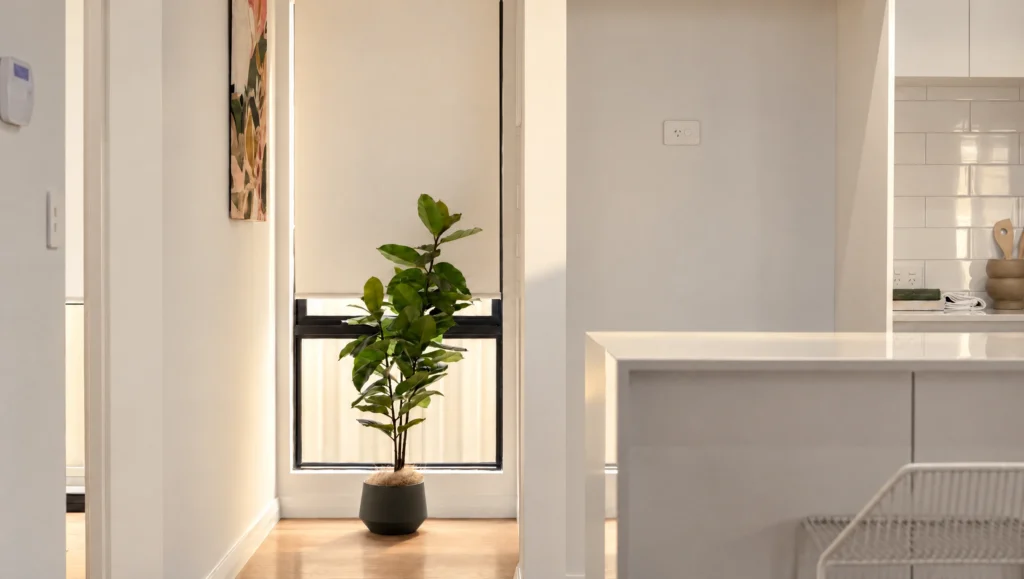 A potted plant sits in a hallway next to a window with blinds.