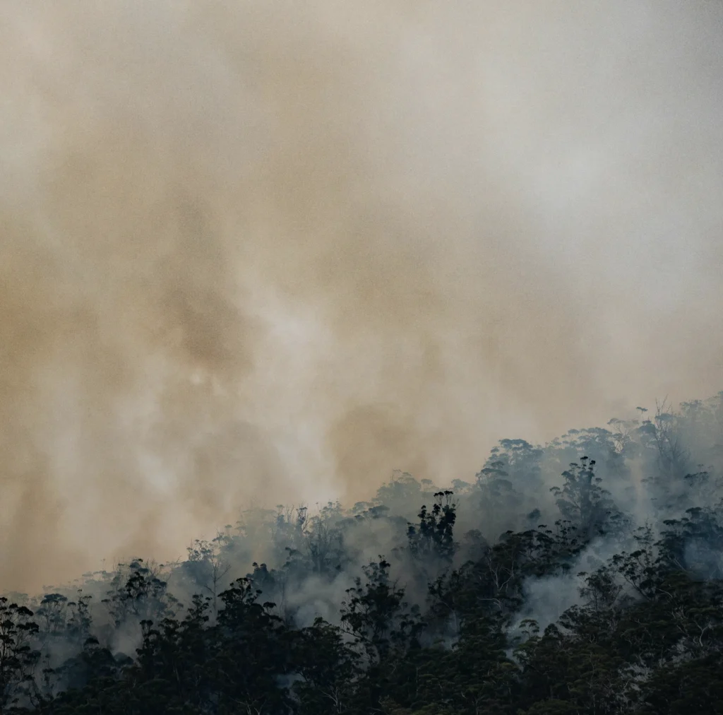 Smoke billows over a dark forest on a hillside.